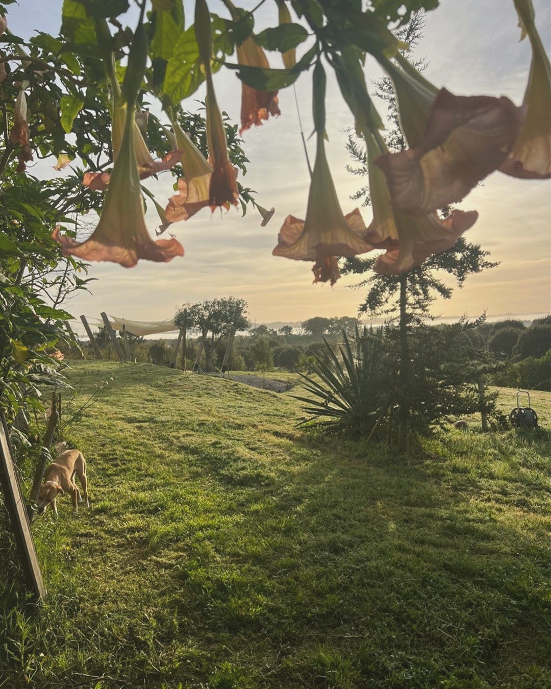Nature et Silence